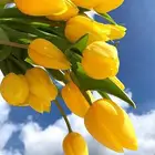 معلمة خصوصي
