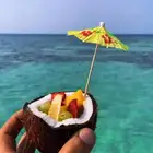 تأجير رحلات بحريه