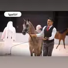 فرس جمال وانتاج