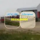 مقاول دواجن الافلاج