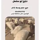 ذبايح القصيم