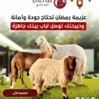 ابو طلال للذبائح