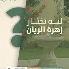 ليش تختار زهرة الريان