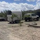 عربه داخل تبوك والمناطق المجاوره تاجير يومي