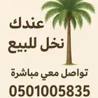 عندك نخيل للبيع توصيل معي