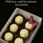 كوكيز ومعمول وغريبه وشوكلاتة للضيافه