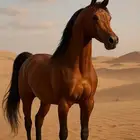 اتبنى خيل