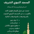 مطلوب شقة للإيجار