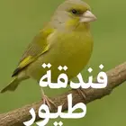 فندقة طيور