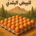 بيض بلدي للبيع