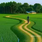 مطلوب عماره دور وثلاث شقق الخبر حي الصواري فقط