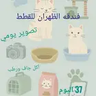 فندقه الظهران للقطط حب رعايه راحه لعب تصوير يومي تشميس