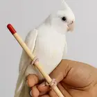 كروان البينو جامبو