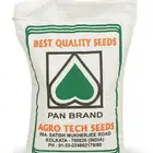 بذور ملوخية هندية