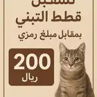 نستقبل قطط التبني