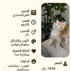 سكوتش  إنتاج ملكي  حياك