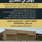 محل تجاري للايجار في القمري
