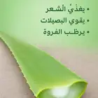 صبار عضوي شتلات 5 ريال