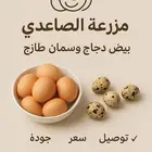 بيض دجاج - سمان