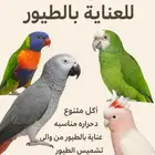 فندقة طيور