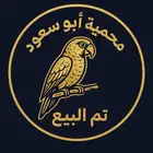 قماري هولندي(تم البيع)