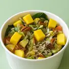 سلطات فريش وصحية