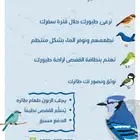 فندقة طيور وببغاوات - تبوك -