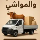 سياره حوض مجهزه لتحميل والنقل