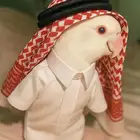 روز ذكر طالب تزواج