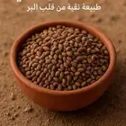 بيع بذور الشفلح البري - علاجية وزينة طبيعية
