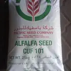 متوفر بذور برسيم وطني وامريكي واسباني اف1