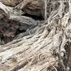 مستورد حطب ارطى