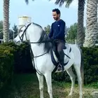 مدرب فروسيه