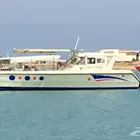 قارب للبيع