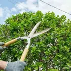 تقليم وقص الأشجار وتكريب النخل البلدي والوشنطون وزرعة الاشجا