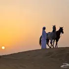 يتوفر إيواء خيل إيجار بايكات
