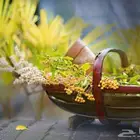 معلمة تأسيس للصفوف الأولى لضعاف القراءة والكتابة