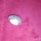 حجر كريم نادر على شكل بيضه مخطط للبيع