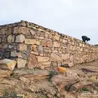 مقولات ابو مشاري جميع انواع اشبوك