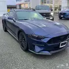 تم البيع موستنج برفومنس بكج 2019