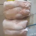 فراخه بط لحم جاهزه لذبح