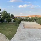 استراحة مزرعه مشجره للإيجار اليومي العماريه