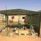 شبك بقلاوه 4 في 4