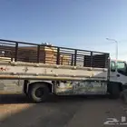 دينه اسيزو جنط 20