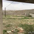 ارض للبيع في مدينه ابها
