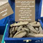 عود بخور مروكي طبيعي محسن