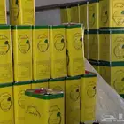 زيت زيتون القريات