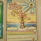 شجره الأنبياء من الثمانينات