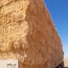 الدفع عند الاستلام