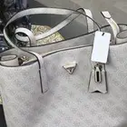 شنطة جس